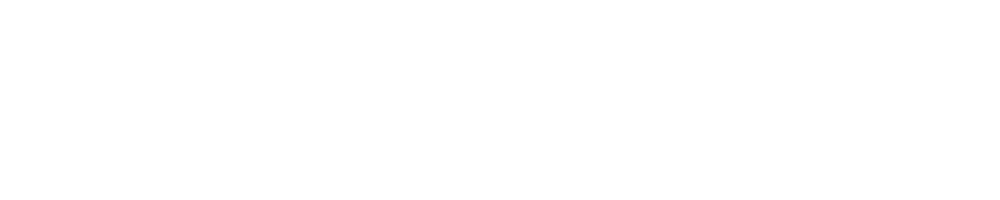 logo cirrus consulting group white