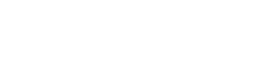 logo deliversense white